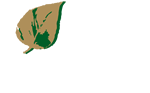 Centro de Mayores Cáxar de la Vega, tu residencia de mayores cerca de Granada Carnaval 2019